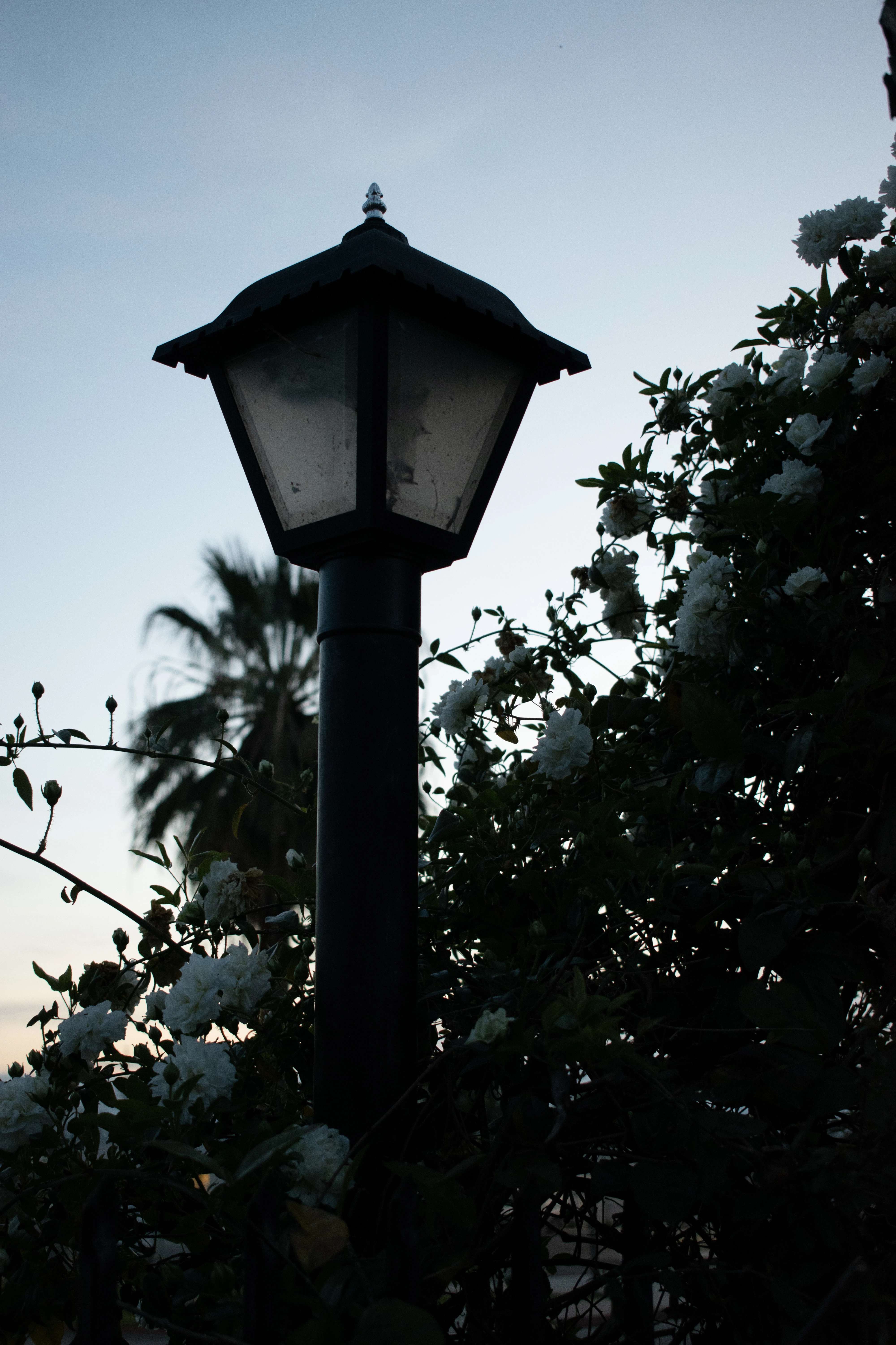 A Polaroid of a lamppost